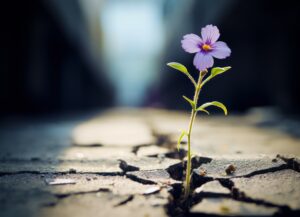 une fleur qui pousse dans une faille de béton